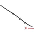 BREMBO Bremsschlauch T 23 184 ESSENTIAL LINE