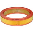 FILTRON Luftfilter AR 306
