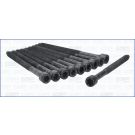 Zylinderkopfschraubensatz 81038000
