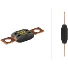 HELLA Sicherung 8JS742902-001