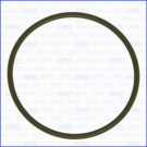 DICHTUNG, ANSAUGKRÜMMERGEHÄUSE | AJU16508700