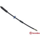 BREMBO Bremsschlauch | T 61 008