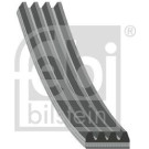 FEBI BILSTEIN Rillenriemen | 38444