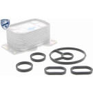 VEMO Ölkühler, Motoröl V25-60-0025 Expert Kits +