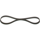 1 987 948 434 Keilrippenriemen