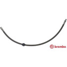 BREMBO Bremsschlauch | T 61 050