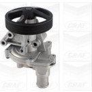 PA 1256 Wasserpumpe | FORD Transit Kasten 2.2 TDCi 11 | PA1256
