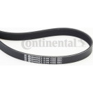 Keilrippenriemen 6Pk1306 6PK1306