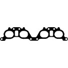 450045P Dichtung, Ansaugkrümmer