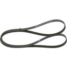 1 987 946 292 Keilrippenriemen