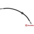 BREMBO Bremsschlauch | T 68 049