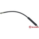 BREMBO Bremsschlauch | T 68 061