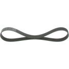 Keilrippenriemen RENAULT Clio III,Modus 1987946264