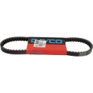 Dayco Antriebsriemen | Scooter 17,5 x 770 | 8173