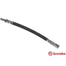 BREMBO Bremsschlauch | T 83 125