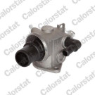 Thermostat, Kühlmittel | TH6506.88J