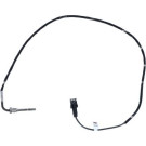Sensor, Abgastemperatur | 707051