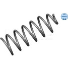 Meyle Fahrwerksfeder Vw P. Golf 3 | 100 041 0001