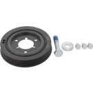 CORTECO Samen 80004883