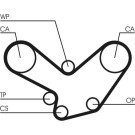 Continental CTAM Zahnriemen CT584