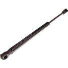 Gasfeder, Koffer-/Laderaum | 12-0269