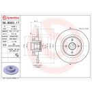 Bremsscheibe HA m. Radl | RENAULT Grand Scenic 04-09 | 08.B650.17