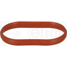 Dichtung, Ansaugkrümmer | BMW | 888.524