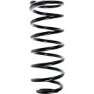 SPIDAN Fahrwerksfeder 55029