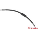 BREMBO Bremsschlauch | T 24 129