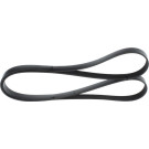 1 987 946 258 Keilrippenriemen