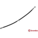 BREMBO Bremsschlauch | T 28 091