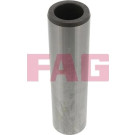 70 308 081 Achszapfen HA li/re(Achskörpe | CITROEN,PEUGEOT | 965901