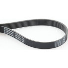 PASEK WIELOKLINOWY 6PK1310