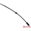 BREMBO Bremsschlauch | T 61 028
