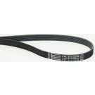 CONTINENTAL CTAM Keilrippenriemen 6PK1073 EXTRA