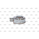 Ölkühler, Motor“L | 31248