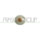 Z-BLINKER L/R GELB/WEISS | FIAT PUNTO II 7,99-9,05/DOBLO 5,01-10,05 | 2545,604,1