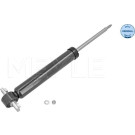 Stoßdämpfer | 7267250032
