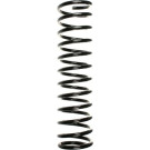 SPIDAN Fahrwerksfeder | 49535
