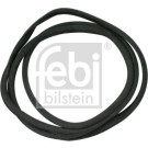 FEBI BILSTEIN Dichtung, Windschutzscheibe | 02789