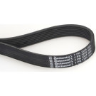 CONTINENTAL CTAM Keilrippenriemen 7PK1325