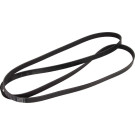 1 987 948 393 Keilrippenriemen