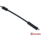 BREMBO Bremsschlauch | T 50 009