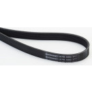 CONTINENTAL CTAM Keilrippenriemen 6PK1893