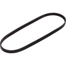 1 987 947 805 Keilrippenriemen