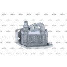 Ölkühler, Motor“L | 31209