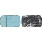 VAN WEZEL Spiegelglas, Außenspiegel 0646837 HAGUS