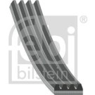FEBI BILSTEIN Rillenriemen 40325
