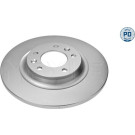 71 482 010PD Bremsscheibe HA Platinum | PEUGEOT 407,607 04 | 11-15 523 0009/PD