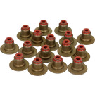 12-34439-01 Dichtungssatz, Ventilschaft